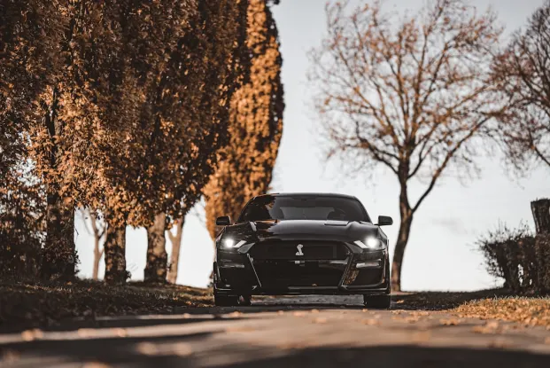 هيبوزينو كازينو تطبيق أندرويد/آي أو إس